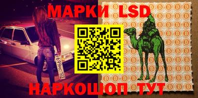 прущий лед Кингисепп
