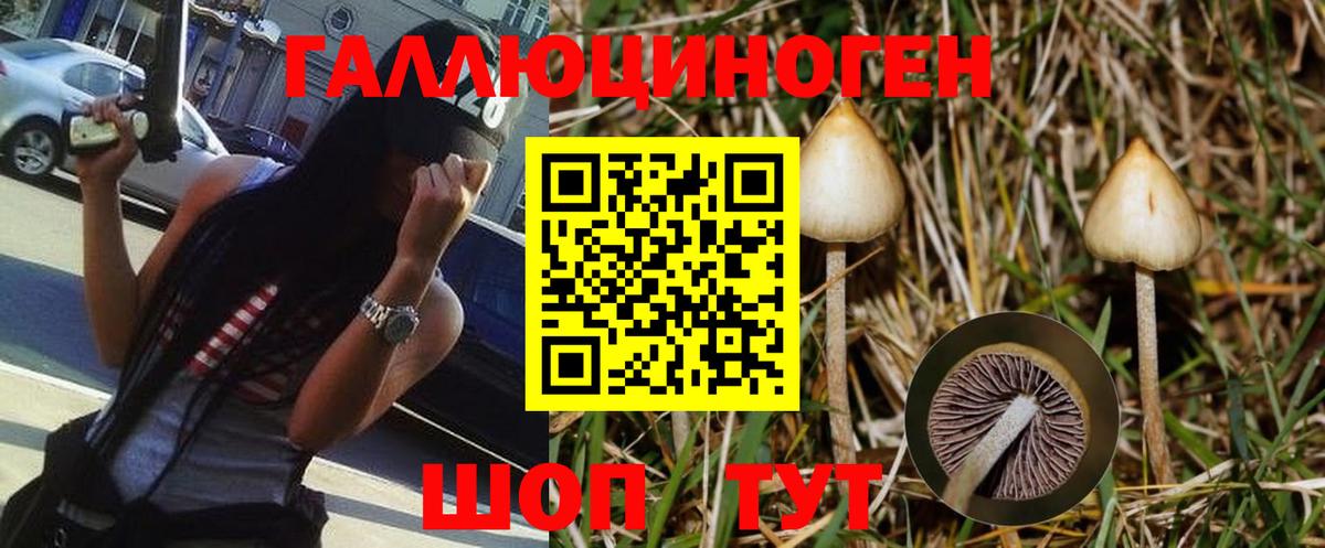 Галлюциногенные грибы MAGIC MUSHROOMS Чусовой